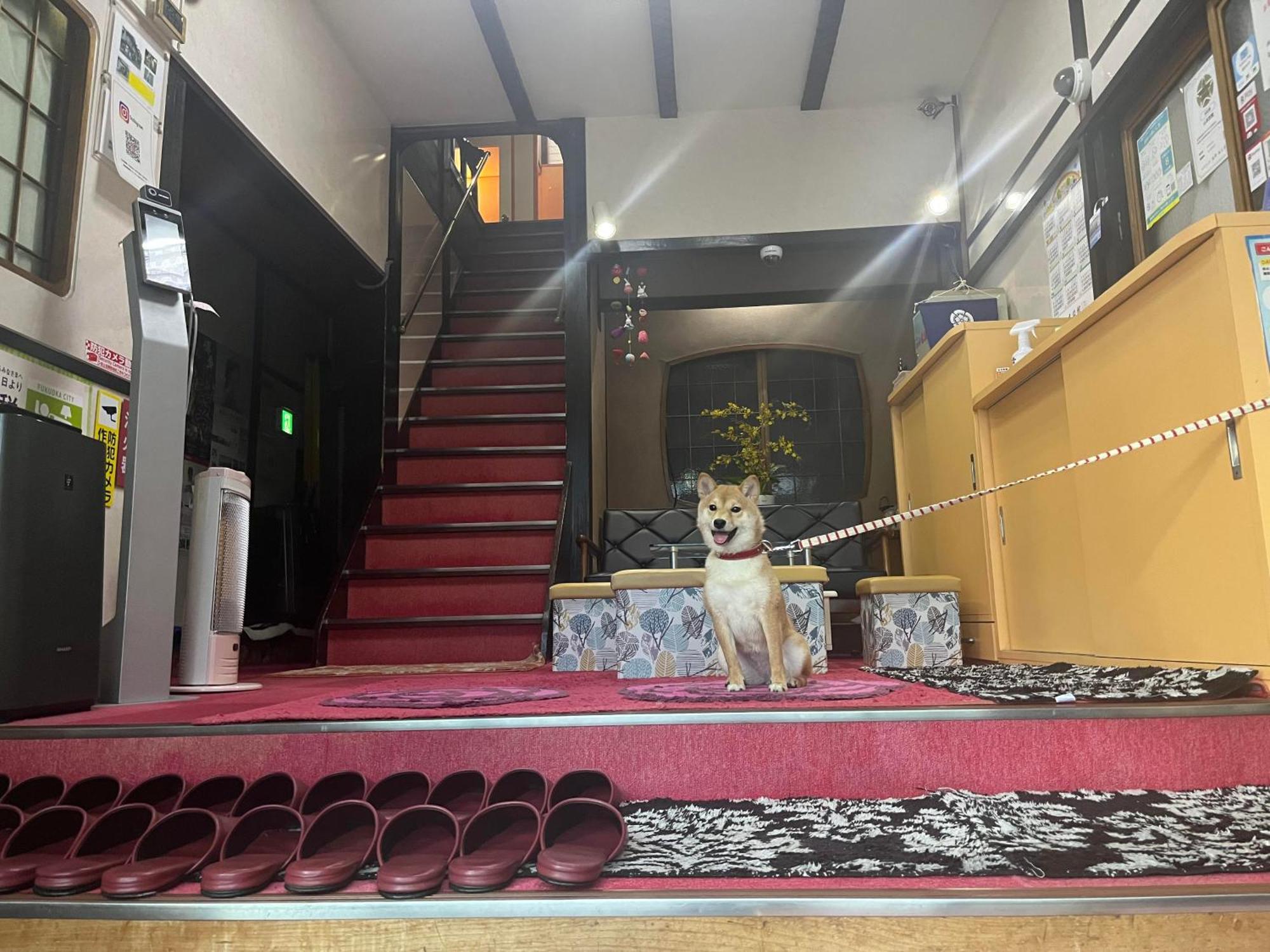 山本旅館 福岡市 エクステリア 写真